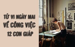 Tử vi ngày mai (6/3/2019) về công việc của 12 con giáp: Tuổi Tỵ vận dụng toàn bộ 'tinh hoa' trong tư duy