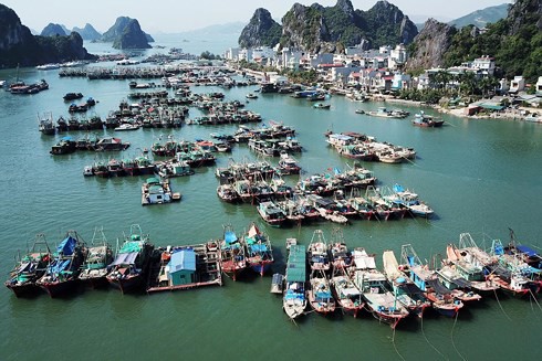 Thủ tướng phê duyệt Nhiệm vụ điều chỉnh quy hoạch chung xây dựng KKT Vân Đồn - Ảnh 1. Thủ tướng phê duyệt Nhiệm vụ điều chỉnh quy hoạch chung xây dựng KKT Vân Đồn - Ảnh 1.
