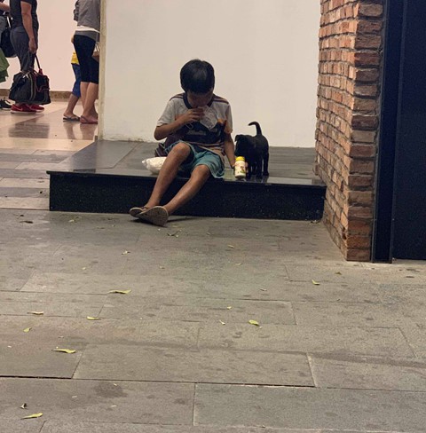 Cậu bé bán vé số chia sữa cho chú chó nhỏ và câu chuyện gây tranh cãi - Ảnh 2. Cậu bé bán vé số chia sữa cho chú chó nhỏ và câu chuyện gây tranh cãi - Ảnh 2.