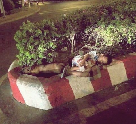 Cậu bé bán vé số chia sữa cho chú chó nhỏ và câu chuyện gây tranh cãi - Ảnh 3.