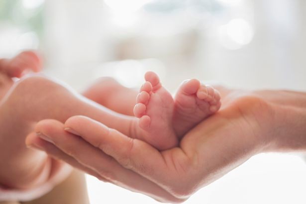 Phụ nữ chuyển giới có thể được cấy ghép tử cung để sinh con - Ảnh 5. Phụ nữ chuyển giới có thể được cấy ghép tử cung để sinh con - Ảnh 5.