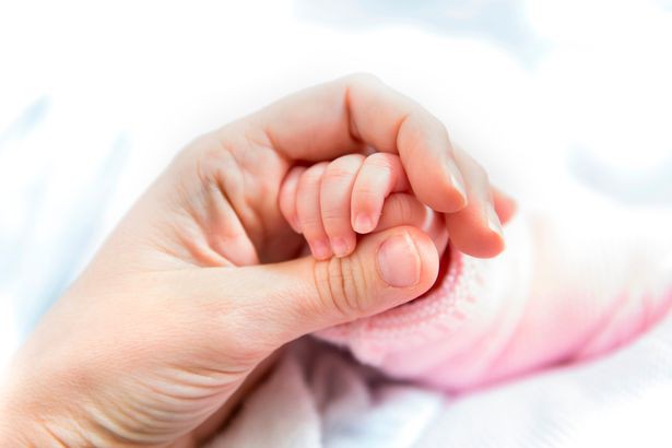 Phụ nữ chuyển giới có thể được cấy ghép tử cung để sinh con - Ảnh 4. Phụ nữ chuyển giới có thể được cấy ghép tử cung để sinh con - Ảnh 4.