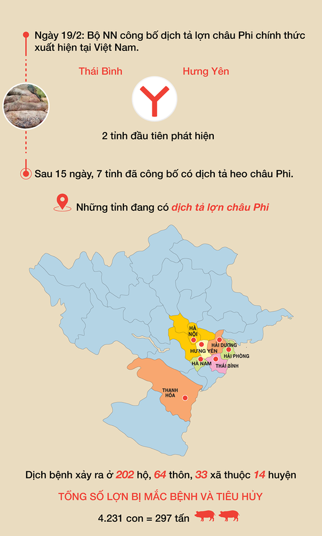 Dịch tả lợn châu Phi lan rộng, Hòa Bình là địa phương thứ 8 nhiễm dịch - Ảnh 2. Dịch tả lợn châu Phi lan rộng, Hòa Bình là địa phương thứ 8 nhiễm dịch - Ảnh 2.