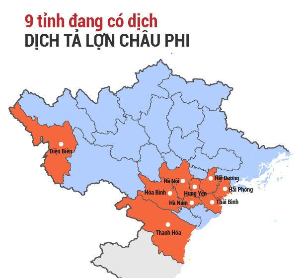 Điện Biên - tỉnh thứ 9 xuất hiện dịch tả lợn châu Phi tại Việt Nam - Ảnh 1. Điện Biên - tỉnh thứ 9 xuất hiện dịch tả lợn châu Phi tại Việt Nam - Ảnh 1.
