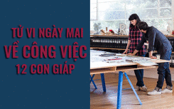 Tử vi ngày mai (7/3/2019) về công việc của 12 con giáp: Tuổi Ngọ kiên quyết đạt mục tiêu