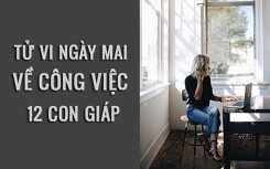 Tử vi ngày mai (8/3/2019) về công việc của 12 con giáp: Tuổi Mùi có một ngày tuyệt vời