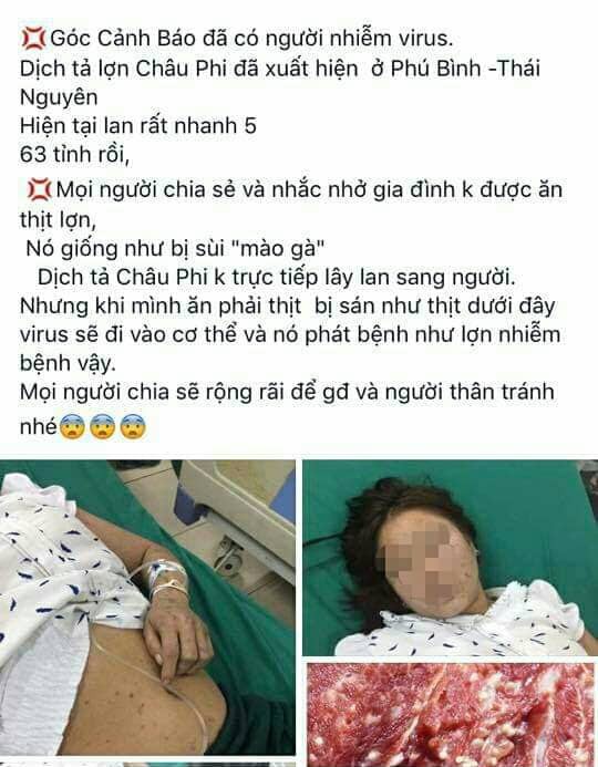 Bộ NN&PTNT đề nghị xử lí nghiêm việc đưa tin sai lệch về dịch tả lợn Châu phi - Ảnh 2. Bộ NN&PTNT đề nghị xử lí nghiêm việc đưa tin sai lệch về dịch tả lợn Châu phi - Ảnh 2.