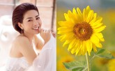 Mai Phương: đóa hướng dương kiêu hãnh, luôn hướng về phía mặt trời