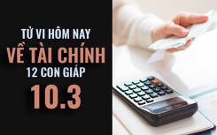 Tử vi hôm nay (10/3/2019) về tài chính của 12 con giáp: Tuổi Dậu bản lĩnh trước khó khăn