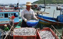 Cơ sở sản xuất nước mắm truyền thống muốn sống được  phải đi 'hai chân'
