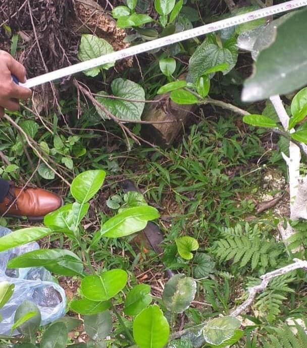 Người đàn ông 51 tuổi chém hàng xóm nhiều nhát vì làm đổ tưởng bao mới xây - Ảnh 1. Người đàn ông 51 tuổi chém hàng xóm nhiều nhát vì làm đổ tưởng bao mới xây - Ảnh 1.