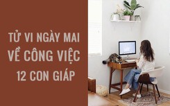 Tử vi ngày mai (10/3/2019) về công việc của 12 con giáp: Tuổi Dậu ‘hoặc thành hoặc bại’