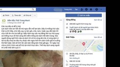 Triệu tập chủ Facebook thời trang tung tin đồn về dịch tả lợn châu Phi