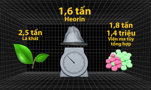 Cuộc vây bắt ông trùm tại miền Trung của đường dây 1,1 tấn ma túy - Ảnh 3. Cuộc vây bắt ông trùm tại miền Trung của đường dây 1,1 tấn ma túy - Ảnh 3.