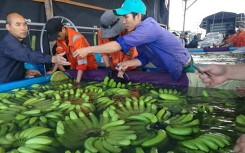Bán chuối, thanh long… mang lại cho bầu Đức doanh thu gần 3.000 tỉ đồng