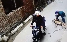 Nhóm đối tượng trộm chó 'nổi hứng' cưỡng hiếp hai thiếu nữ