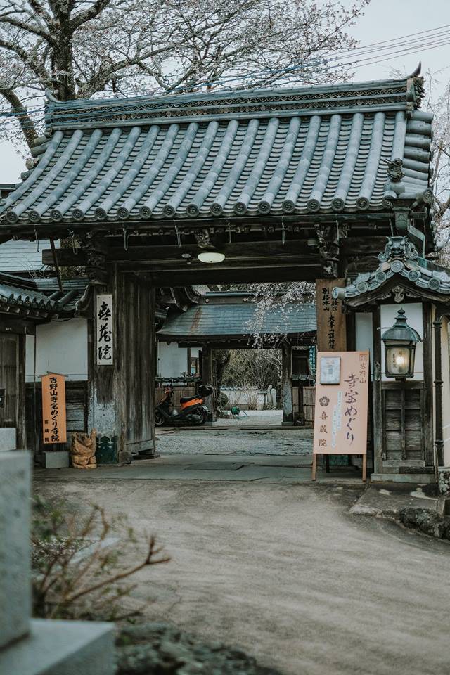 Không phải ở Tokyo hay Kyoto mà chính nơi này mới là thủ phủ hoa anh đào của Nhật Bản - Ảnh 5. Không phải ở Tokyo hay Kyoto mà chính nơi này mới là thủ phủ hoa anh đào của Nhật Bản - Ảnh 5.