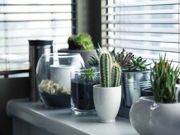 Nghỉ Giỗ tổ Hùng Vương, hô biến detox cho ngôi nhà của bạn theo cách đơn giản này - Ảnh 2. Nghỉ Giỗ tổ Hùng Vương, hô biến detox cho ngôi nhà của bạn theo cách đơn giản này - Ảnh 2.
