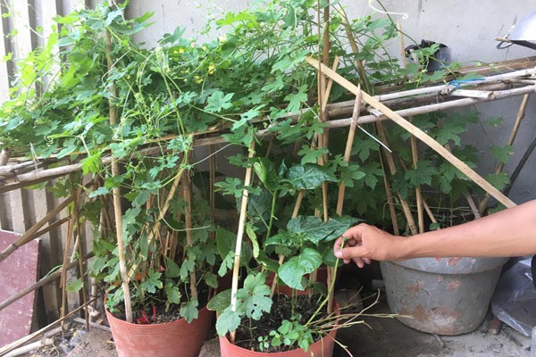Chuyện khó tin bên trong biệt thự triệu đô bỏ hoang ở Sài Gòn - Ảnh 14.