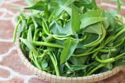 ‘Bỏ túi’ cách chọn rau muống ngon, an toàn cho sức khỏe