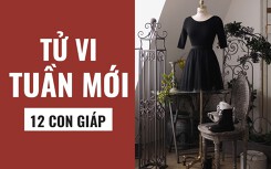 Tử vi tuần mới (15/4 - 21/4) của 12 con giáp: Tuổi Tý thận trọng trước đầu tư