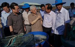 Tổng Bí thư, Chủ tịch nước Nguyễn Phú Trọng: Kiên Giang cần đẩy mạnh phát triển công nghiệp
