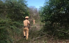 CSGT Phú Quốc bắn chỉ thiên, người vi phạm giao thông ngất xỉu vì... chạy mệt quá