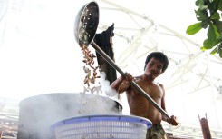 'Lực sĩ' Sài Gòn: Cơ bụng 6 múi nhờ vớt nửa tấn đậu phộng luộc mỗi ngày