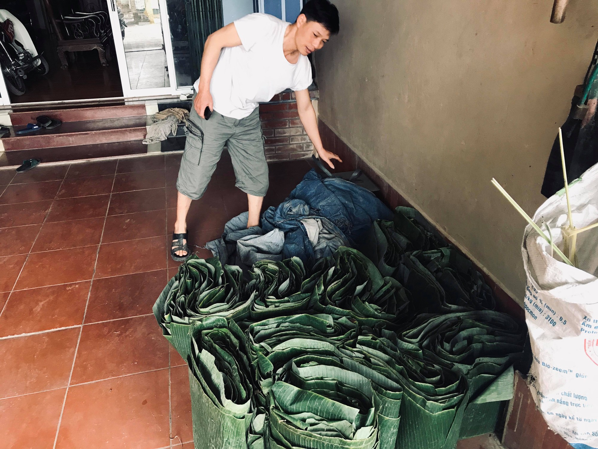 Câu chuyện làm vườn thời ‘không túi nilon’: Trồng chuối bán lá thu bạc tỉ mỗi năm - Ảnh 8. Câu chuyện làm vườn thời ‘không túi nilon’: Trồng chuối bán lá thu bạc tỉ mỗi năm - Ảnh 8.