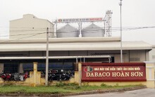 Mặc dịch tả heo hoành hành, Dabaco báo lãi tăng 97% so với cùng kì 2018