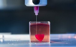 Quả tim đầu tiên trên thế giới in 3D từ mô người