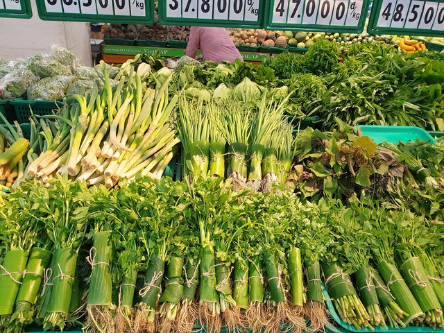 Câu chuyện làm vườn thời ‘không túi nilon’: Trồng chuối bán lá thu bạc tỉ mỗi năm - Ảnh 9. Câu chuyện làm vườn thời ‘không túi nilon’: Trồng chuối bán lá thu bạc tỉ mỗi năm - Ảnh 9.