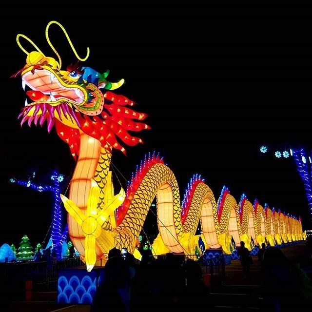 Cuối tuần không biết đi đâu, đến ngay lễ hội ánh sáng lớn nhất TP HCM tại quận 7  - Ảnh 6.