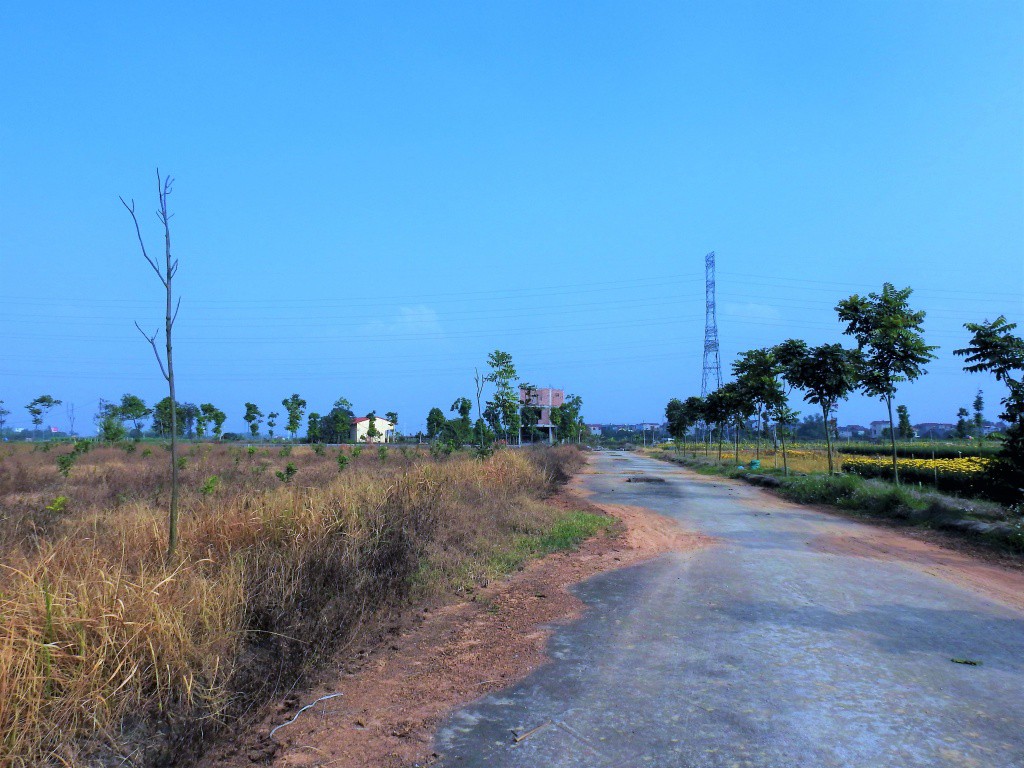 Sau 10 năm xây dựng, 2.000 ha đất hoang tàn, bỏ hoang tại Mê Linh - Ảnh 7.