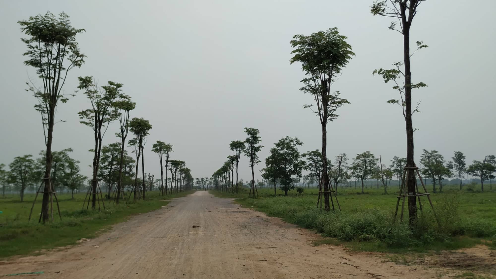Sau 10 năm xây dựng, 2.000 ha đất hoang tàn, bỏ hoang tại Mê Linh - Ảnh 2.