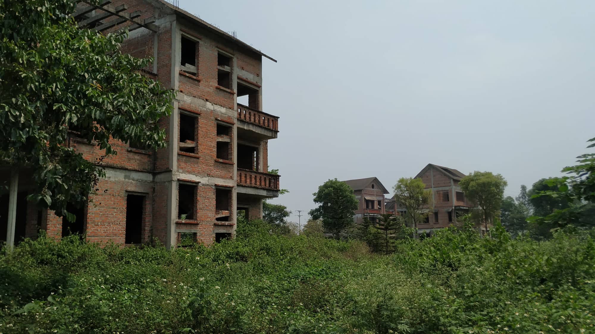 Sau 10 năm xây dựng, 2.000 ha đất hoang tàn, bỏ hoang tại Mê Linh - Ảnh 8.