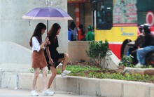 Hà Nội: Trồng hoa ở dải phân cách sau nhiều năm thi công đường sắt Nhổn - ga Hà Nội
