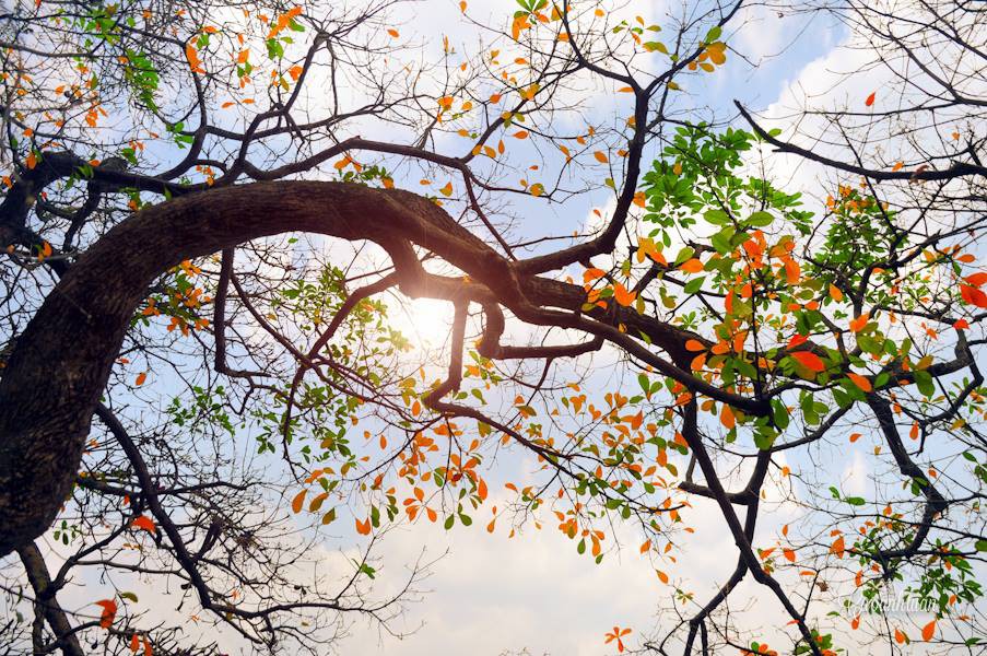 Dự báo thời tiết ngày mai 20/4: Nắng nóng tiếp tục tăng nhiệt, nhiệt độ Hà Nội cao nhất 38 độ C - Ảnh 2. Dự báo thời tiết ngày mai 20/4: Nắng nóng tiếp tục tăng nhiệt, nhiệt độ Hà Nội cao nhất 38 độ C - Ảnh 2.