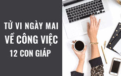 Tử vi ngày mai (21/4/2019) về công việc của 12 con giáp: Tuổi Tý cân đối thời gian làm việc