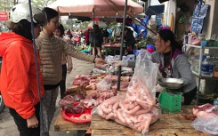 Dự báo giá heo hơi ngày 3/4: Thanh Hóa kích cầu thịt heo