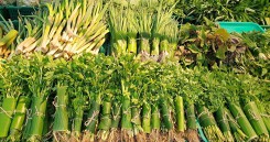 Các siêu thị nhập cuộc 'cơn lốc' gói thực phẩm bằng lá chuối