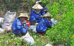 Sài Gòn nóng gần 40 độ C: Người dân xuống gầm cầu mắc võng ngủ trưa