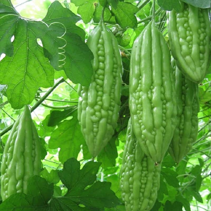 Bệnh từ miệng, người bị huyết áp thấp cần nhớ không nên ăn những thực phẩm này - Ảnh 6. Bệnh từ miệng, người bị huyết áp thấp cần nhớ không nên ăn những thực phẩm này - Ảnh 6.
