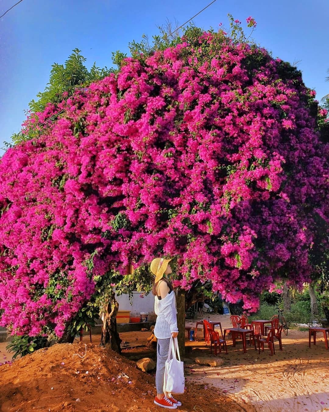 Những hòn đảo thiên đường ngay tại Việt Nam cho dịp lễ 30/4 - 1/5 - Ảnh 8. Những hòn đảo thiên đường ngay tại Việt Nam cho dịp lễ 30/4 - 1/5 - Ảnh 8.