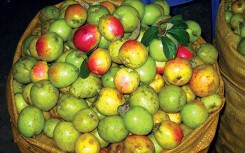 Bệnh từ miệng, người bị huyết áp thấp cần nhớ không nên ăn những thực phẩm này