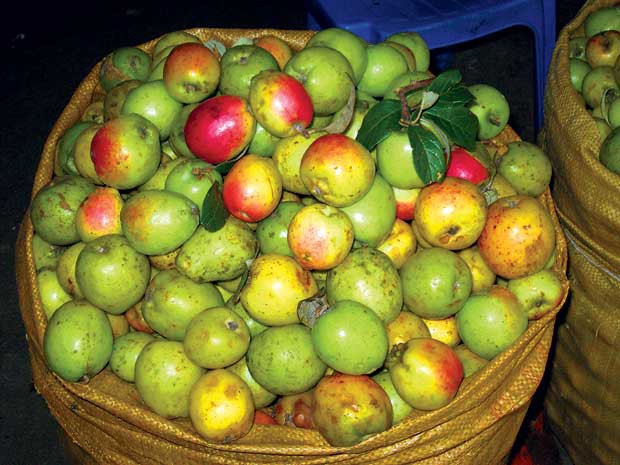 Bệnh từ miệng, người bị huyết áp thấp cần nhớ không nên ăn những thực phẩm này - Ảnh 3. Bệnh từ miệng, người bị huyết áp thấp cần nhớ không nên ăn những thực phẩm này - Ảnh 3.