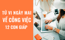 Tử vi ngày mai (24/4/2019) về công việc của 12 con giáp: Tuổi Mão càng thực tế càng thành công