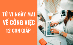 Tử vi ngày mai (24/4/2019) về công việc của 12 con giáp: Tuổi Mão càng thực tế càng thành công