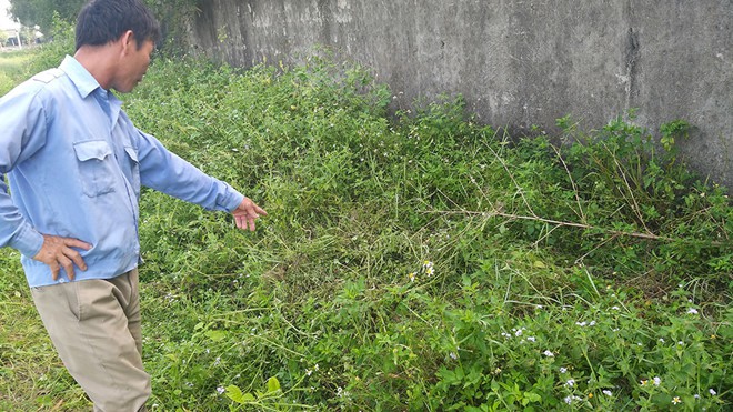 Điều tra nghi án học sinh lớp 2 ở Nghệ An bị xâm hại tình dục - Ảnh 2. Điều tra nghi án học sinh lớp 2 ở Nghệ An bị xâm hại tình dục - Ảnh 2.