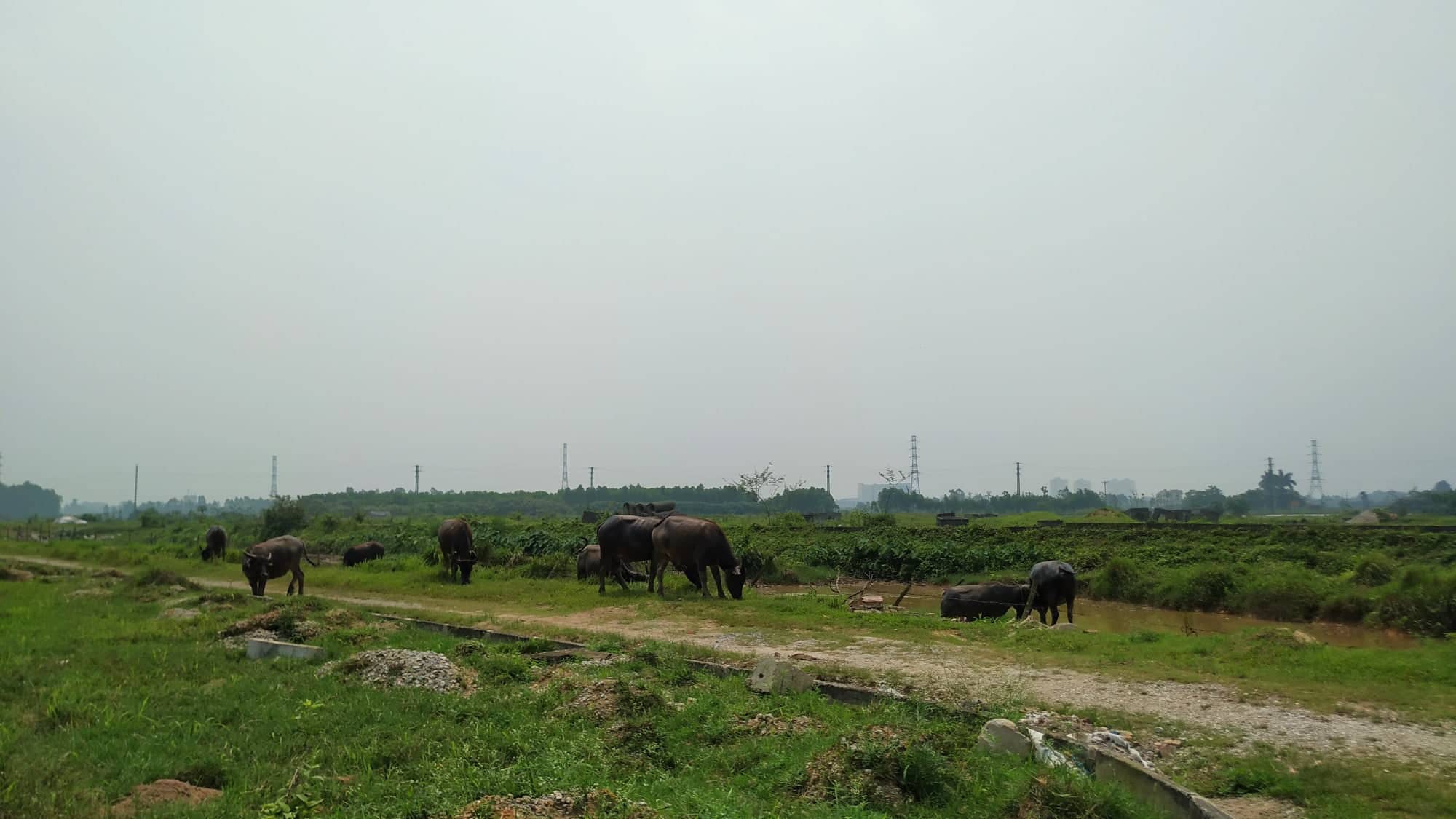 Thủ tướng Chính phủ: Sẽ thu hồi dự án không triển khai, để đất hoang hóa - Ảnh 1.